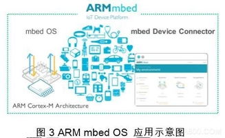 嵌入式技术与网络技术开发 艾礼富Alef视角下物联网应用的双引擎